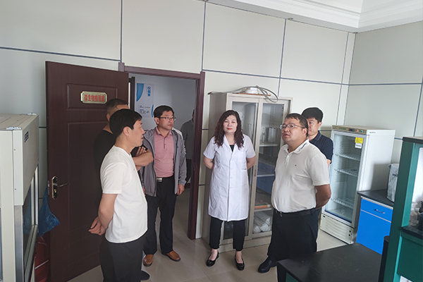 1623216115239208.jpg 3.jpg